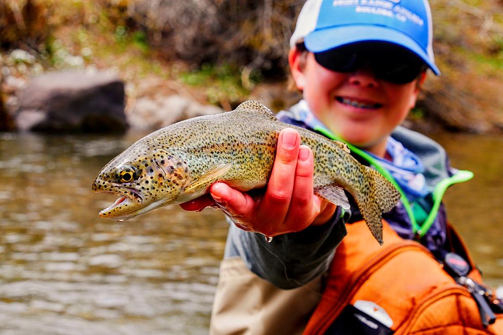 Where the Kentucky Dept. of Fish & Wildlife Stocked Rainbow Trout in Daviess Co.