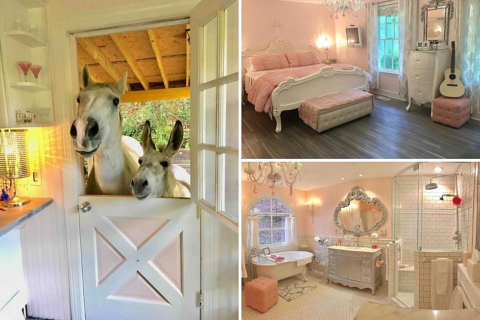 The Pink House Airbnb in Nashville Comes with Mini Donkey Hosts