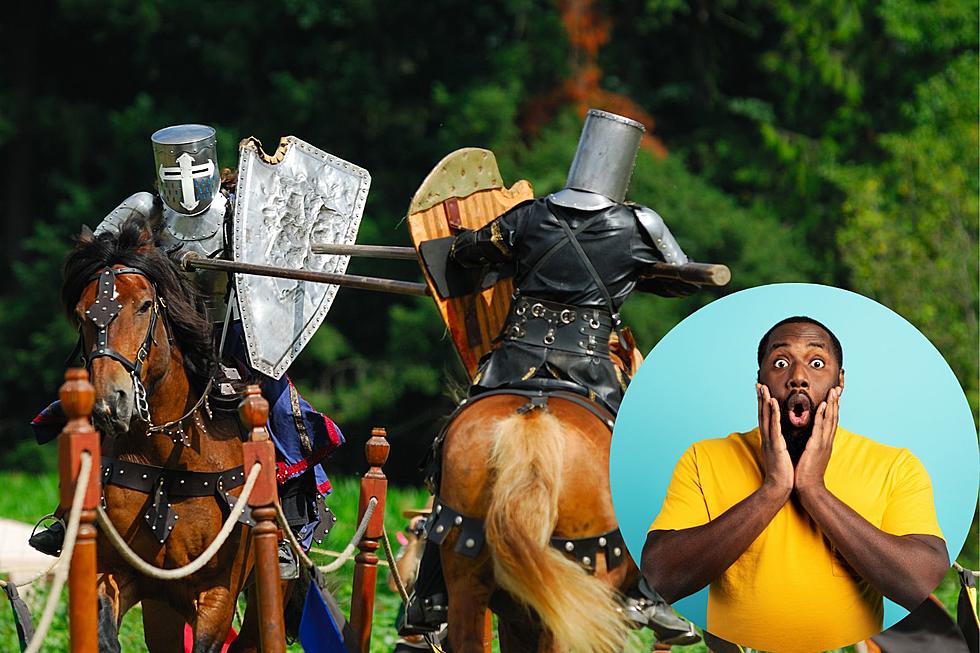Huzzah! The Southern Indiana Renaissance Festival Coming in May