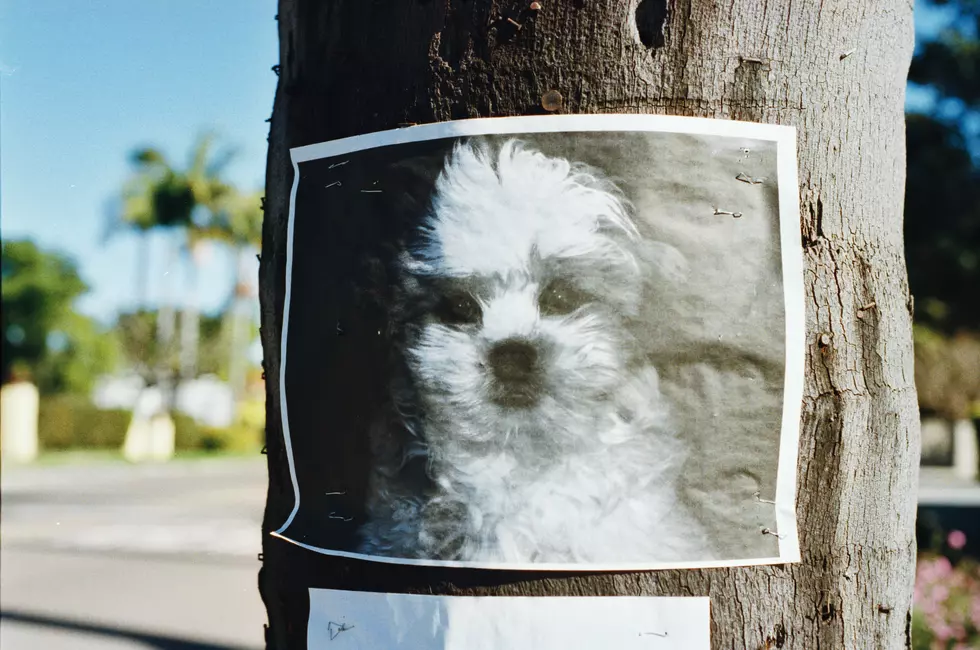 Unsplash/Randy Laybourne