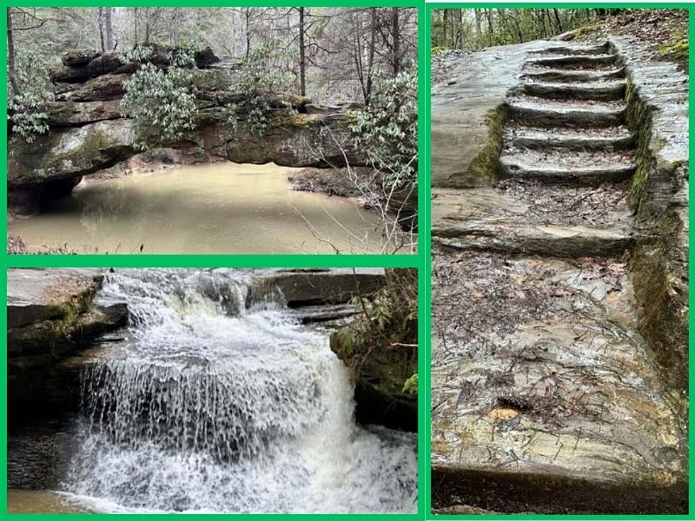 Rock Bridge Trail in Kentucky is a Cornucopia of Natural Wonders