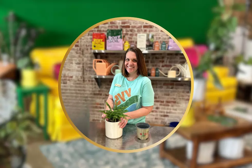 Floral Shop in Downtown Evansville Offers Classes, Plant Rehab, and a Flower Bar