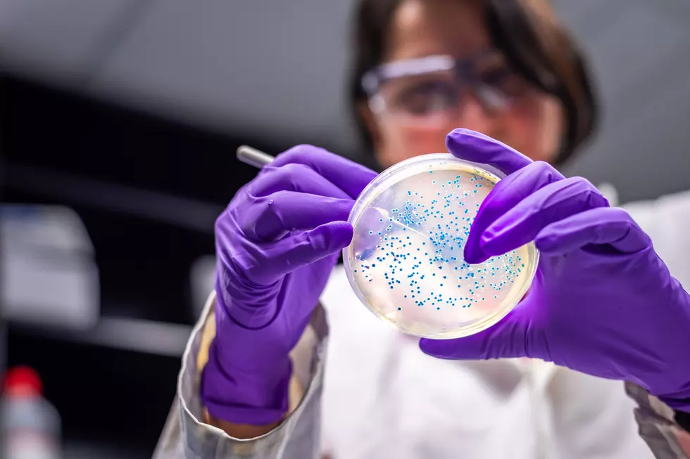 FDA and CDC Investigating Two Salmonella Outbreaks