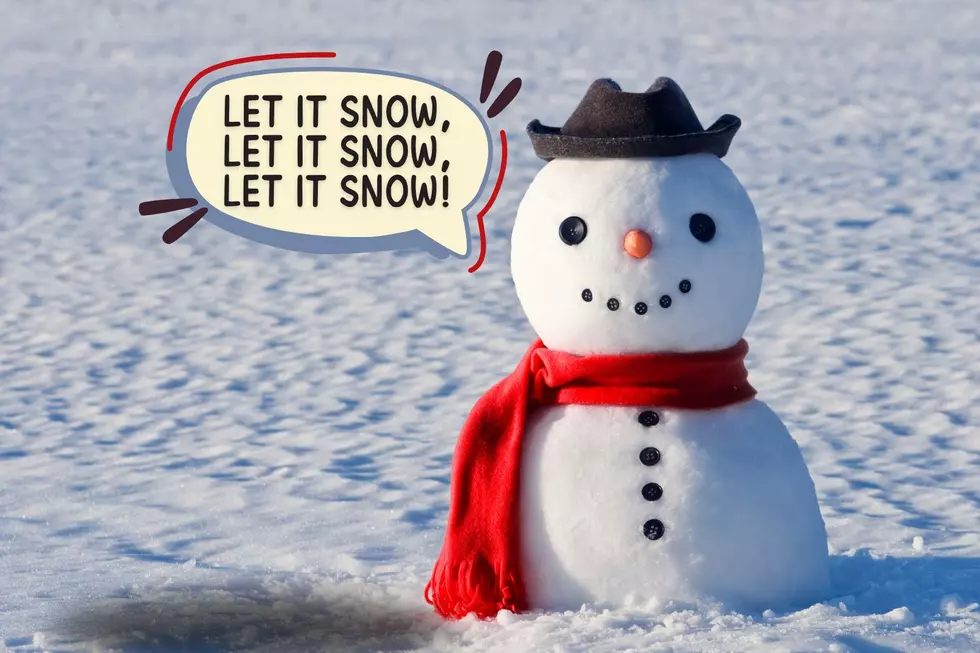How Snowy Will 2024-25 Winter be in Indiana, Kentucky, Tennessee, and Illinois?