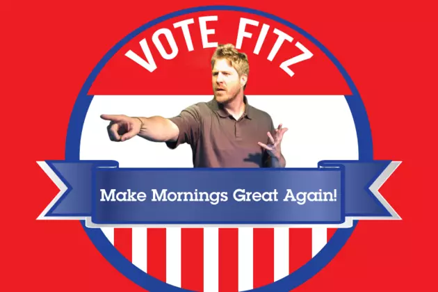 Fitz Buys Your Vote Cue to Call Times