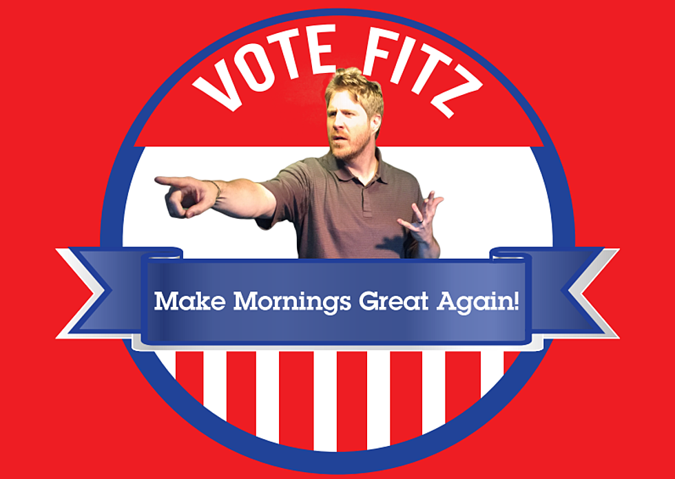 Fitz Buys Your Vote Cue to Call Times