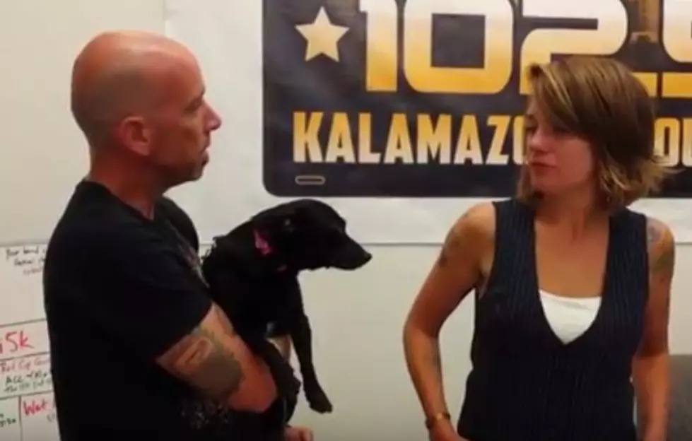 Adopt This Kalamazoo Dog Named Dogo: Wet Nose Wednesday