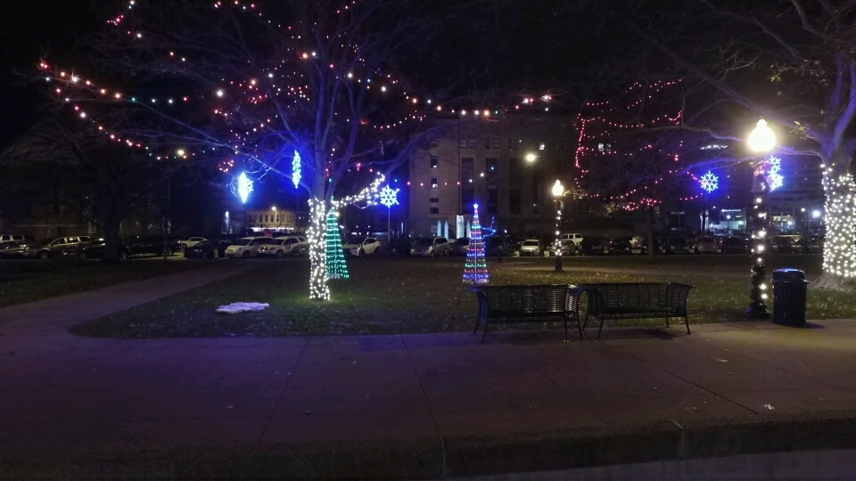 bronson park christmas lights