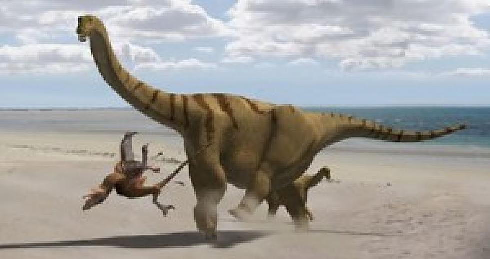 New Dinosaur ‘Brontomerus’ Discovered