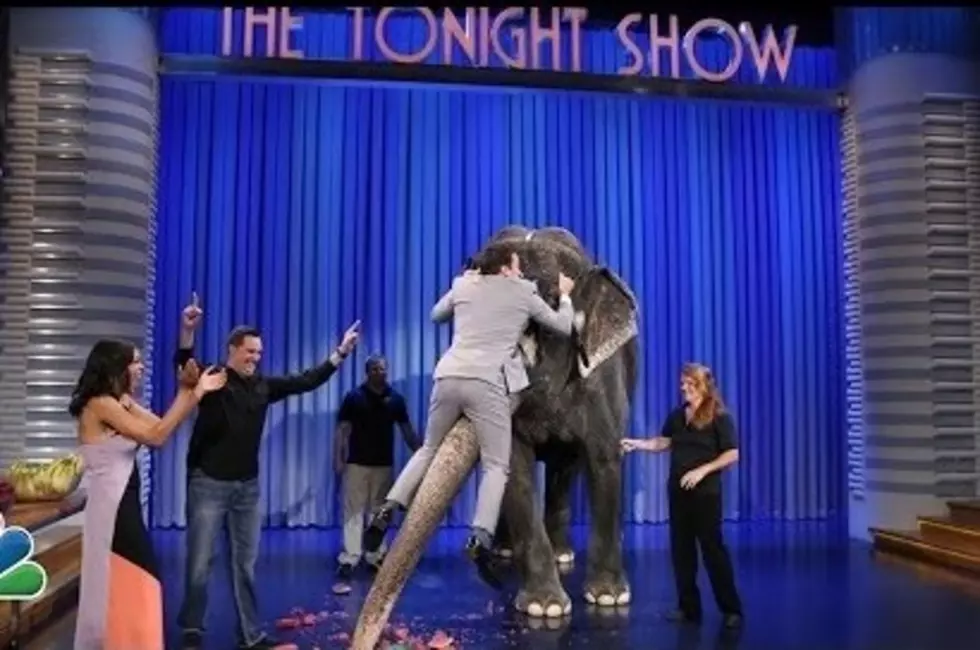 Jeff Musial Introduces Jimmy Fallon to an Elephant  – See Him Live in the Tri-State