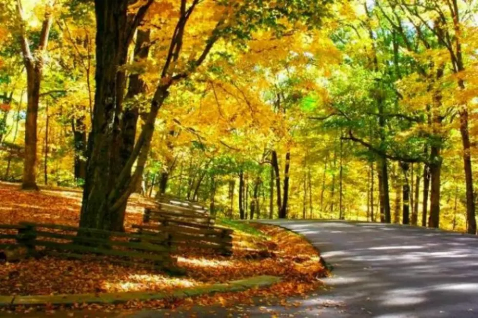 Autumn Road Trip Idea: Back Roads of Brown County Fall Art Tour