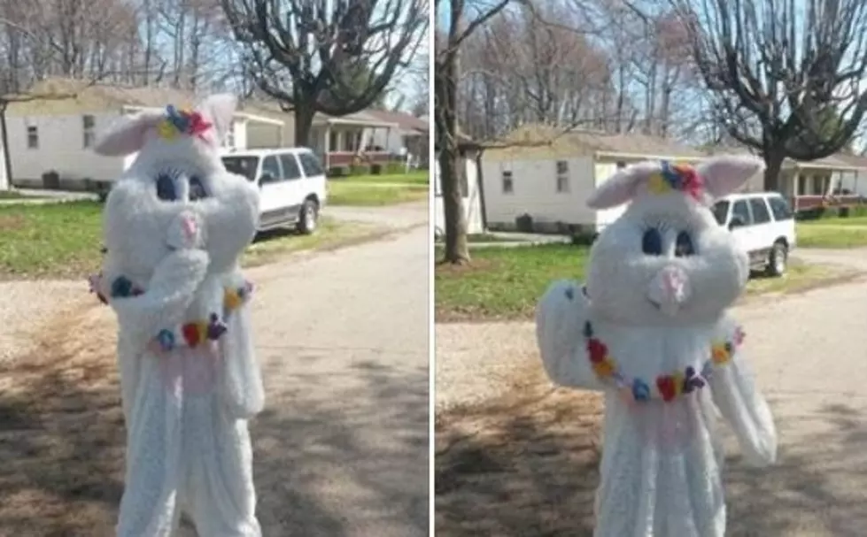 Schedule Your Visit from the Easter Bunny in the Evansville-Newburgh Area!