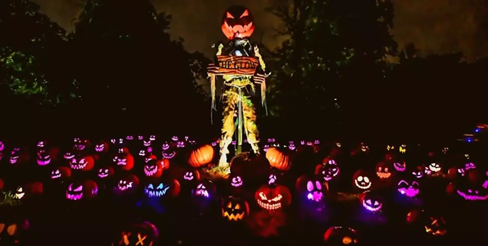 Thousands of Jack o Lanterns Will Light Up Nashville This Weekend
