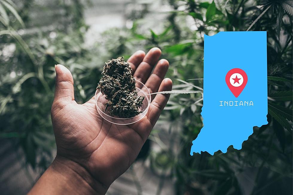 Marijuana Legalization Remains a Hot Button Issue in Indiana