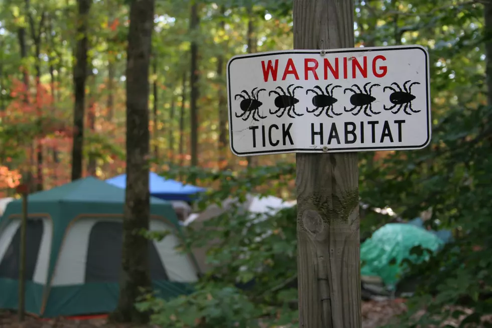 More Ticks This Summer