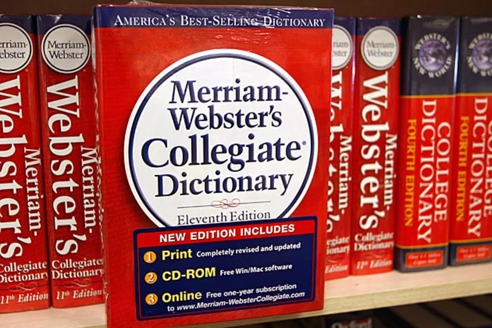 New Words Added to the Dictionary