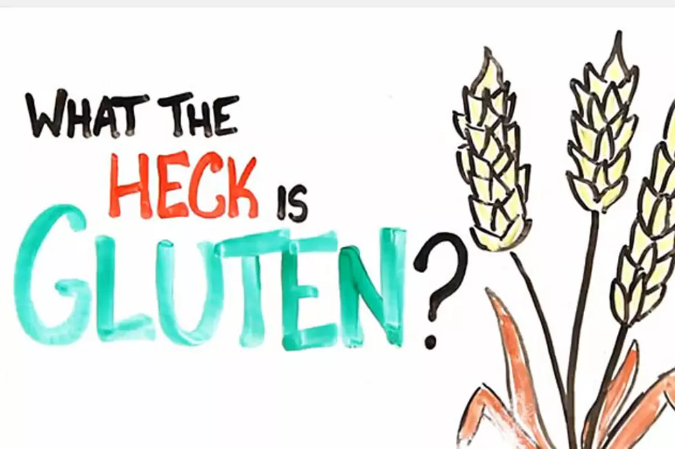 What’s Gluten? Here Comes a Much-Needed Explanation