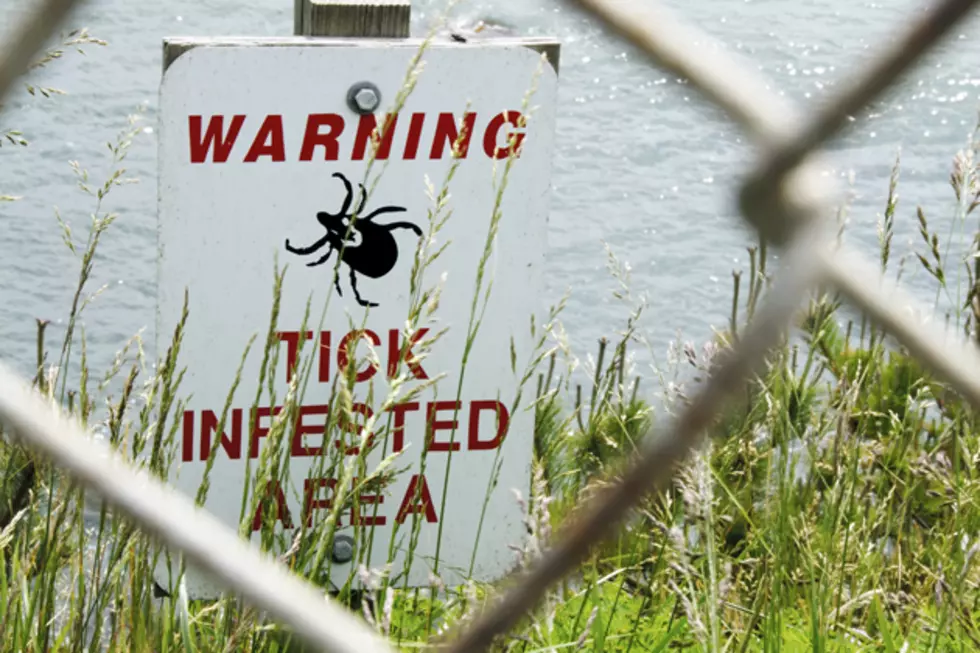 Sunday Morning: Lyme Disease Facts You Should Know Before You Take That Hike