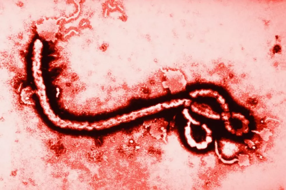 Why You Don’t Need to Fear Ebola