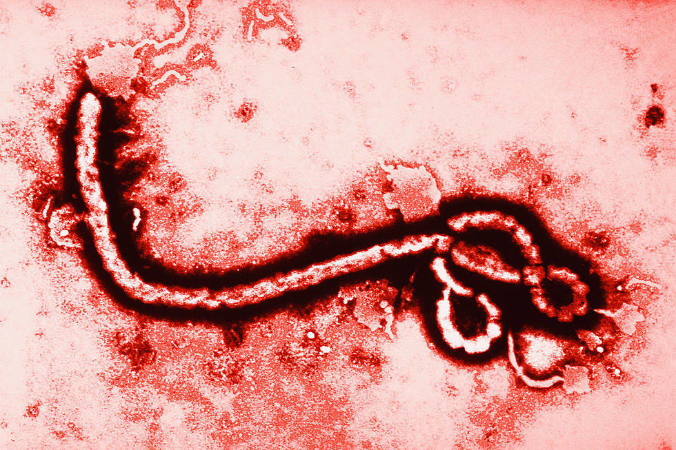 Why You Don't Need To Be Afraid Of Ebola