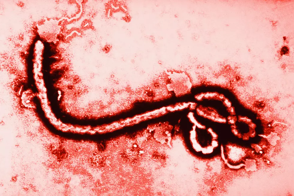 First US Ebola Patient Dies