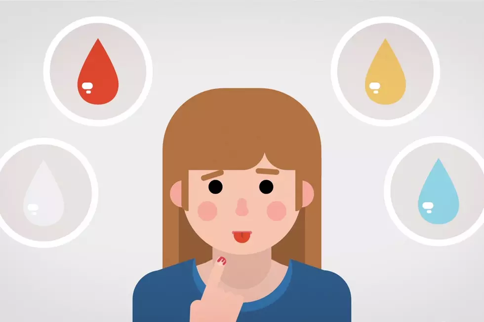 Ebola Explained — Simple Talk About How Ebola Takes Over Its Victims [VIDEO]