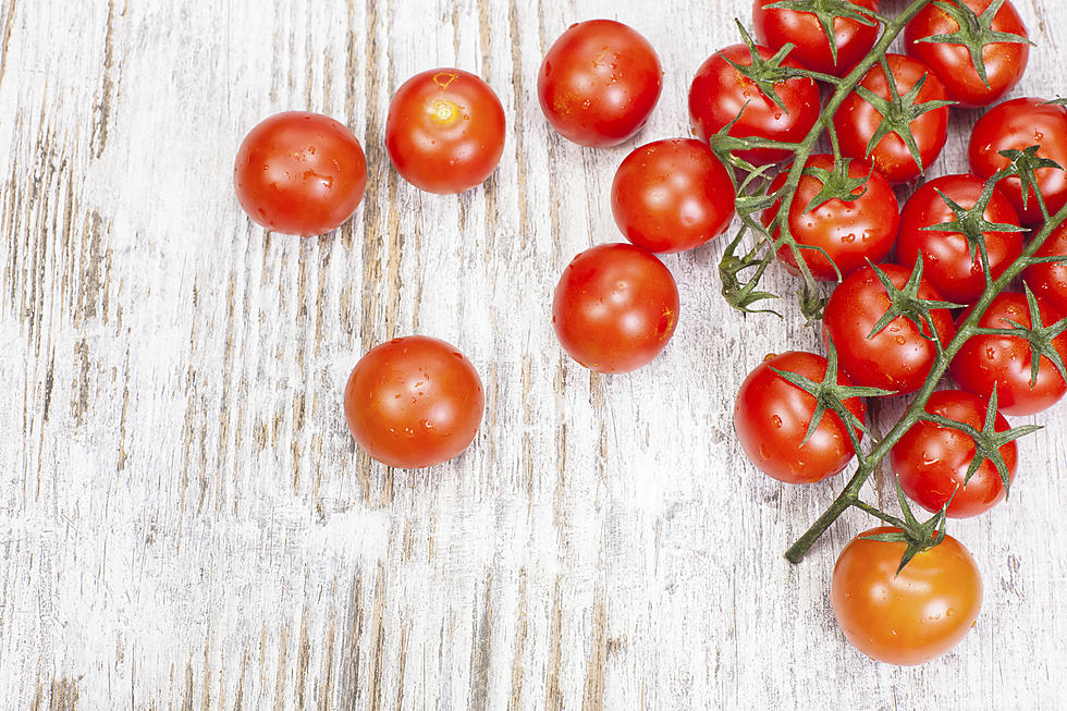 Timely Tomato Growing Tips From the Garden Man