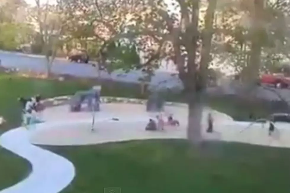 Two Children Seriously Injured When Tree Falls on Playground [VIDEO]