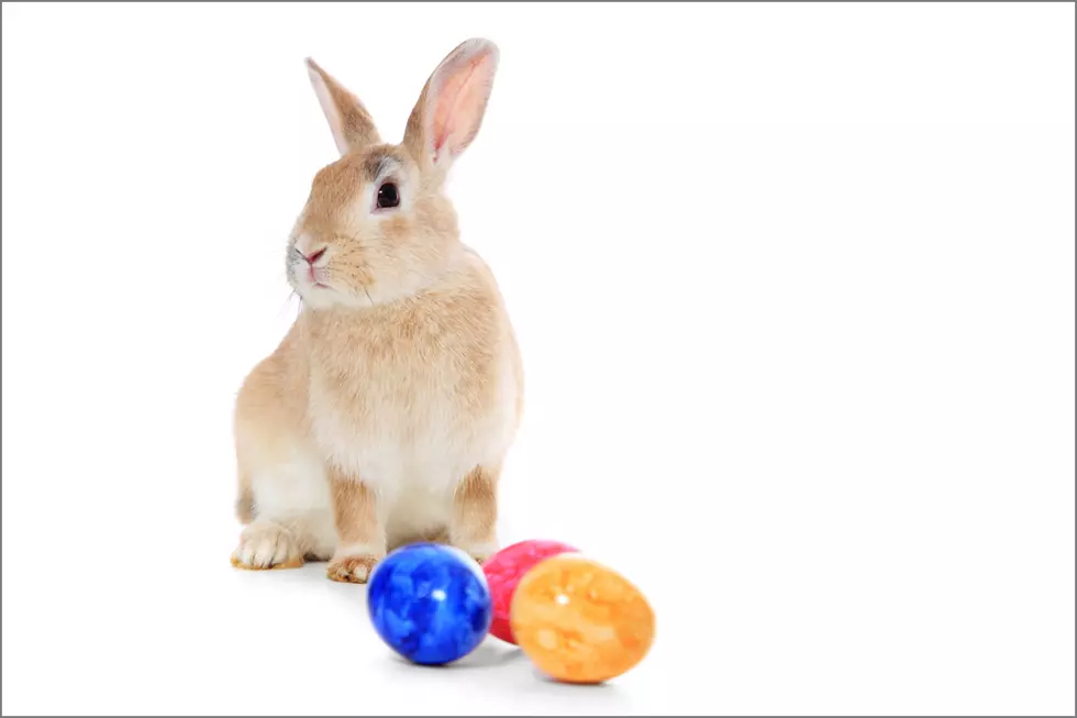 Pushy Parents Turn Easter Egg Hunt into Chaos [VIDEO]