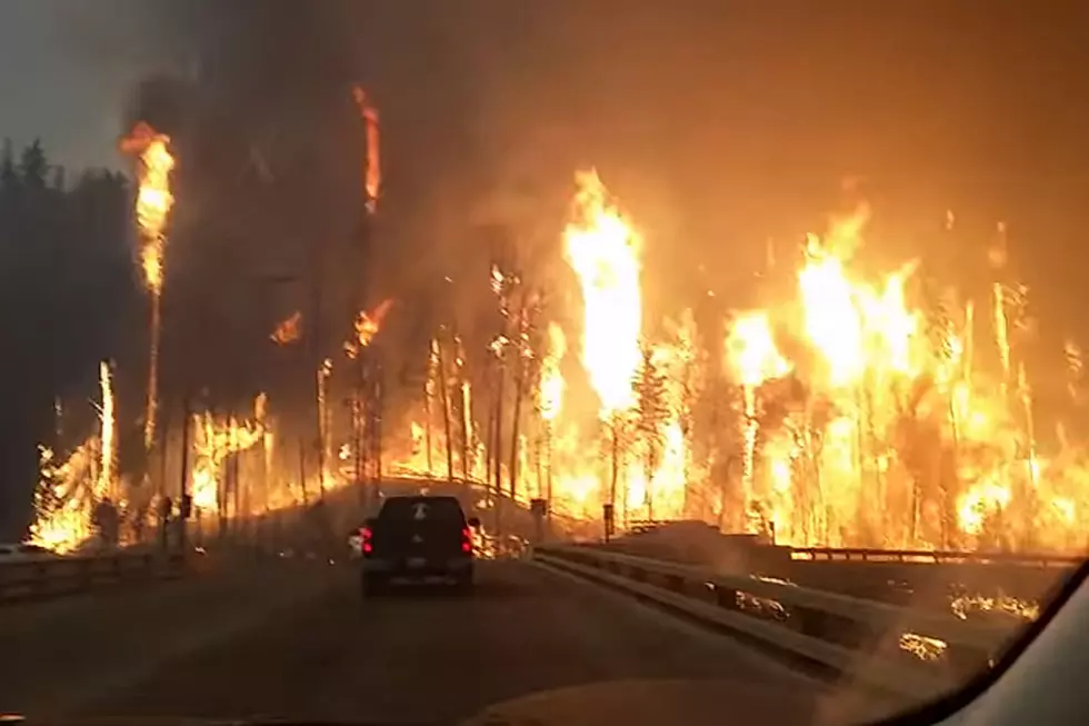 Watch Searing Footage of Cars Driving Through Dangerous Wildfire [NSFW VIDEO]