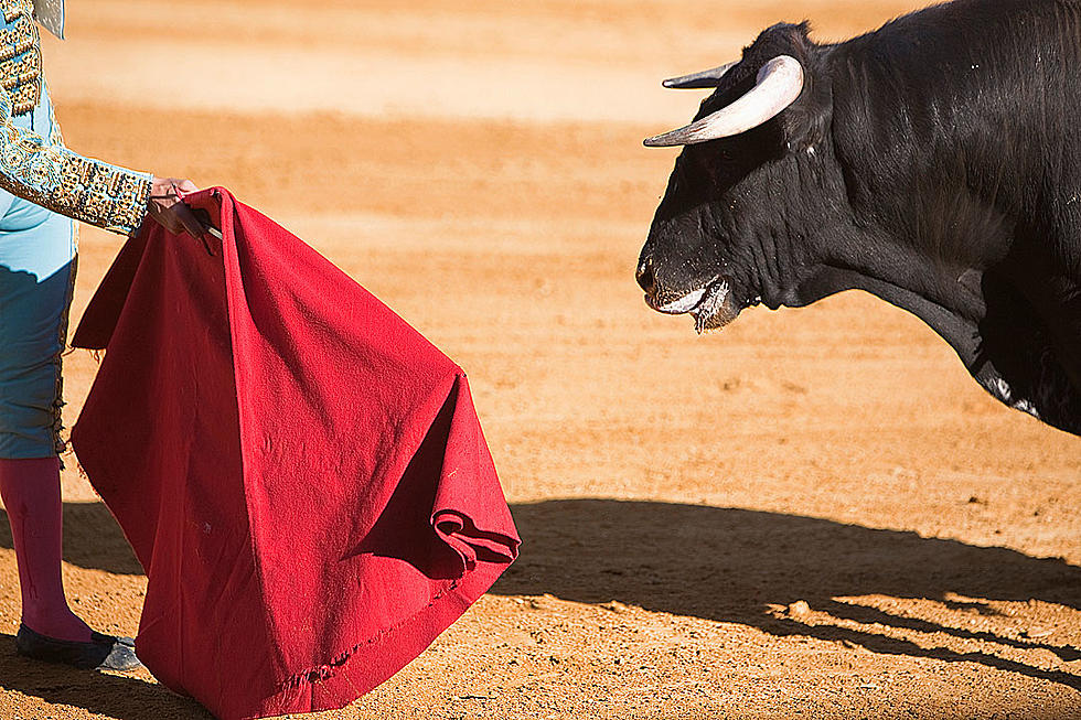 Bullfighter Gored to Death While Cameras Roll