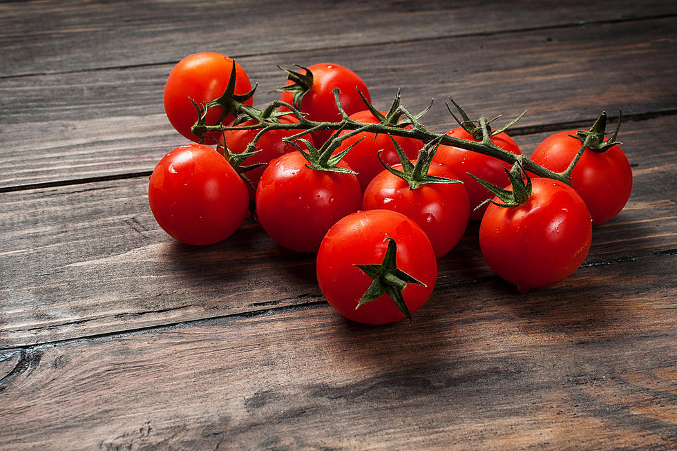 Getting The Most Out Of Your Jersey Tomatoes This Summer