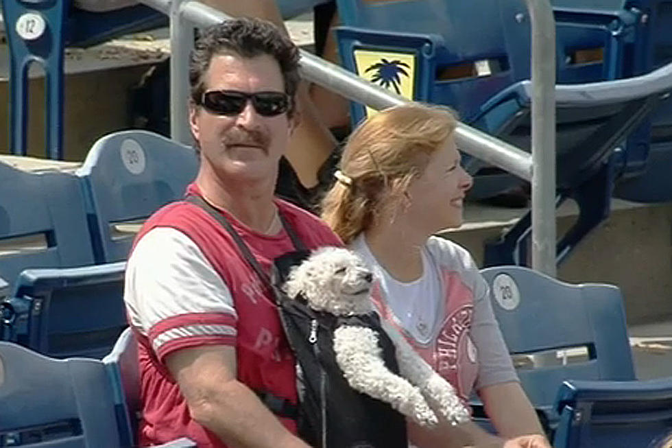Chillaxin’ Dog at Spring Training Game Is Living the Good Life