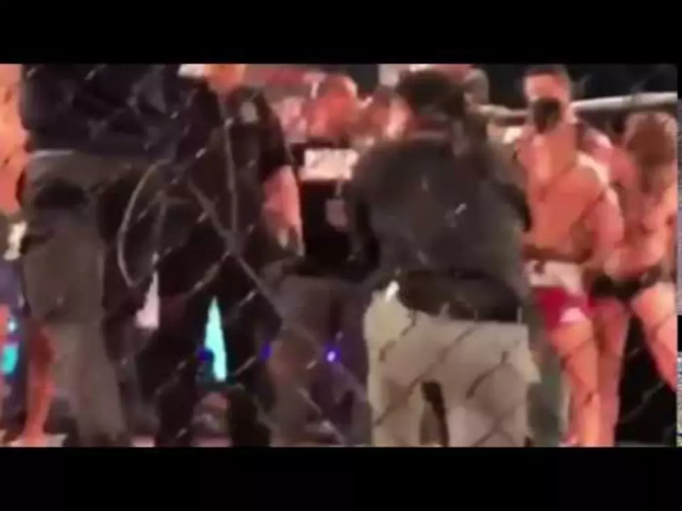 Disappointed MMA Fighter Accidentally Punches Ring Girl in the Face