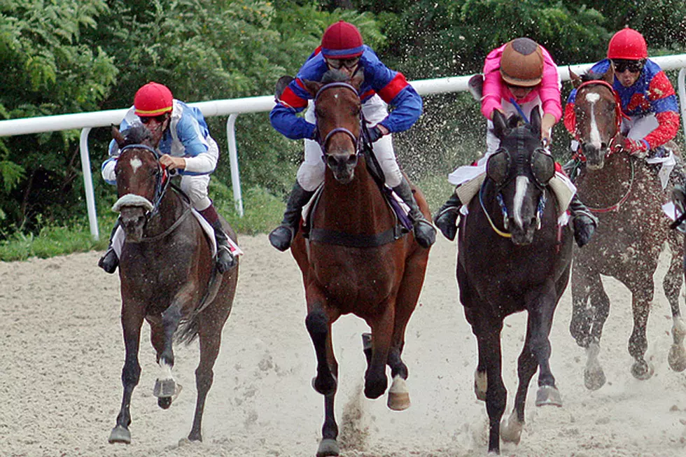 Watch a Horse Named Horsey McHorseface Win a Horse Race