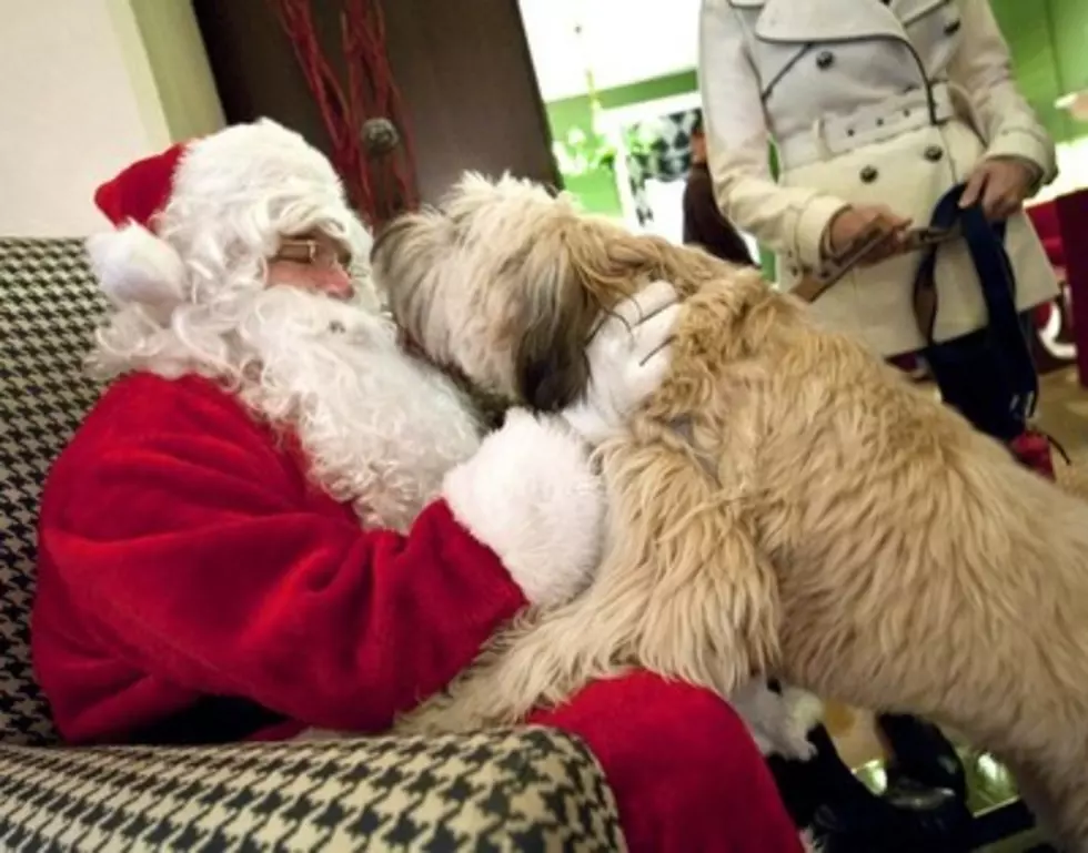 Get Your Pets Picture With Santa