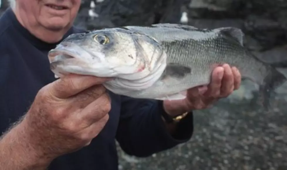 Free Fishing For Kentuckians This Weekend!