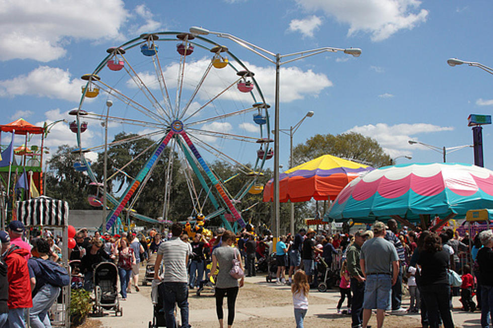 Daviess County Lions Club Fair Roars Into Philpot