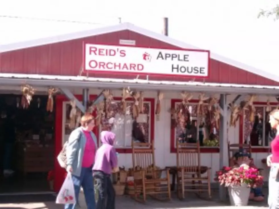 Apple Fest This Weekend At Reid&#8217;s Orchard In Owensboro