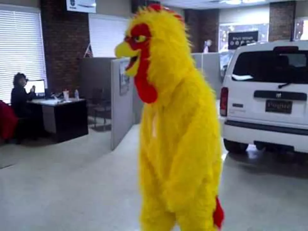 This Chicken Dance Is a Real &#8216;Thriller&#8217; [VIDEO]