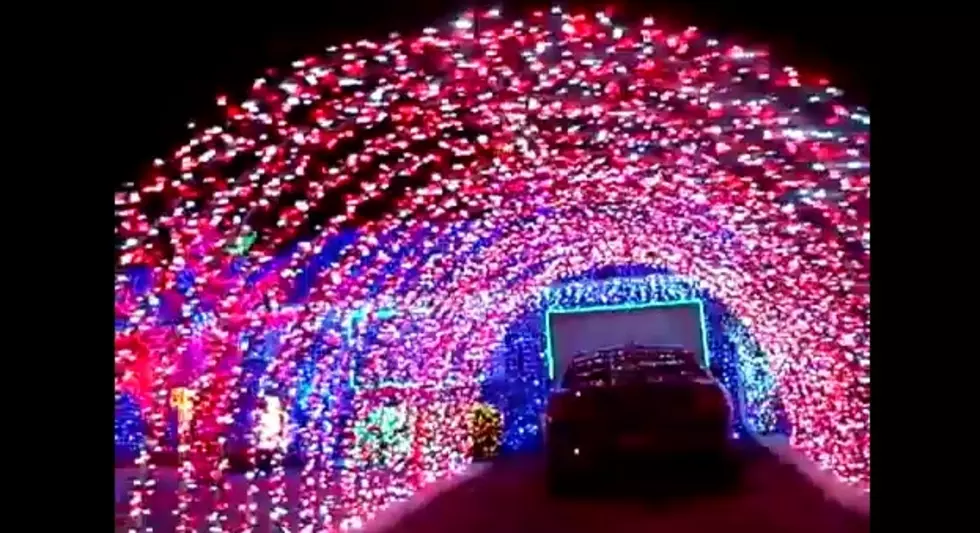 Extreme Christmas Lights [VIDEO]