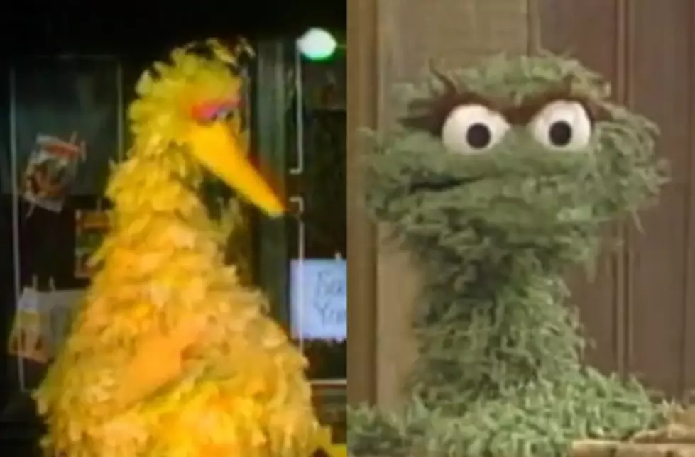 BKR Clash in the Country: Big Bird vs. Oscar the Grouch [VIDEO]