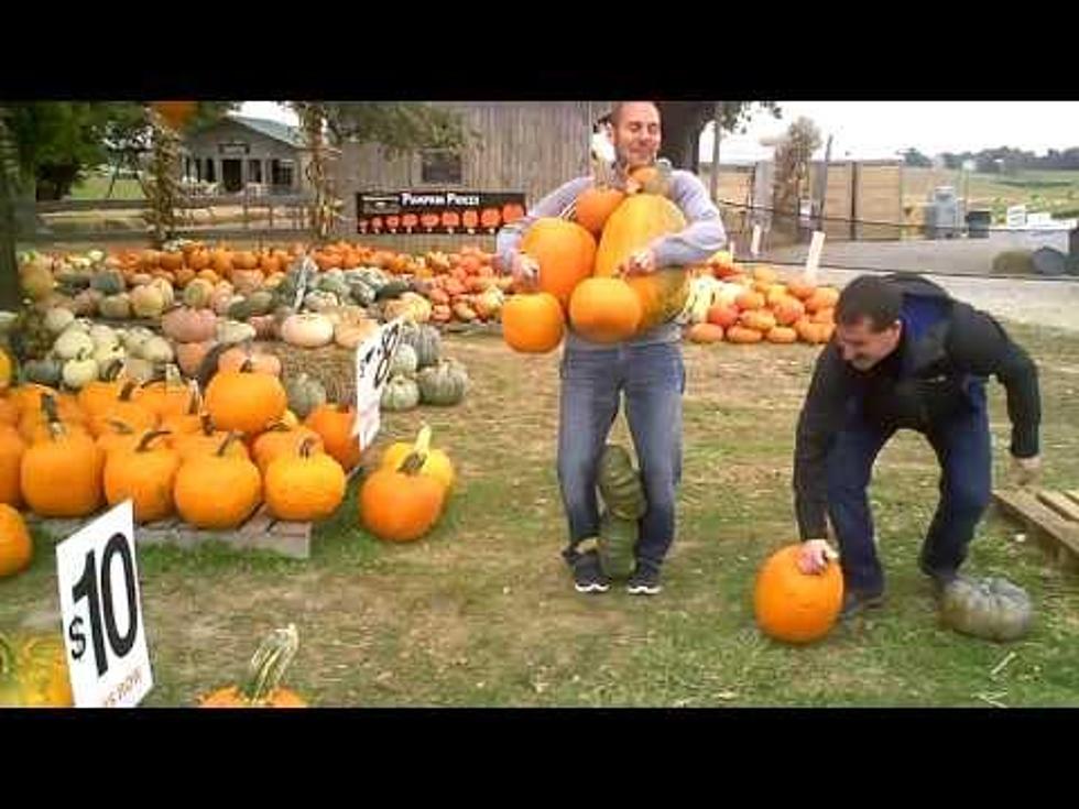 The All-You-Can-Carry Pumpkin Sale at Trunnell’s Farm Market [Video]