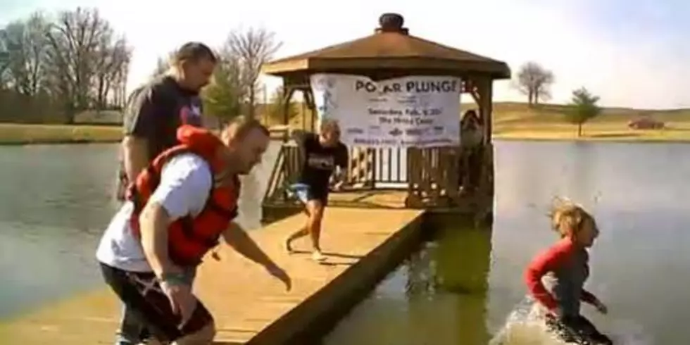 The Polar Bear Plunge Returns