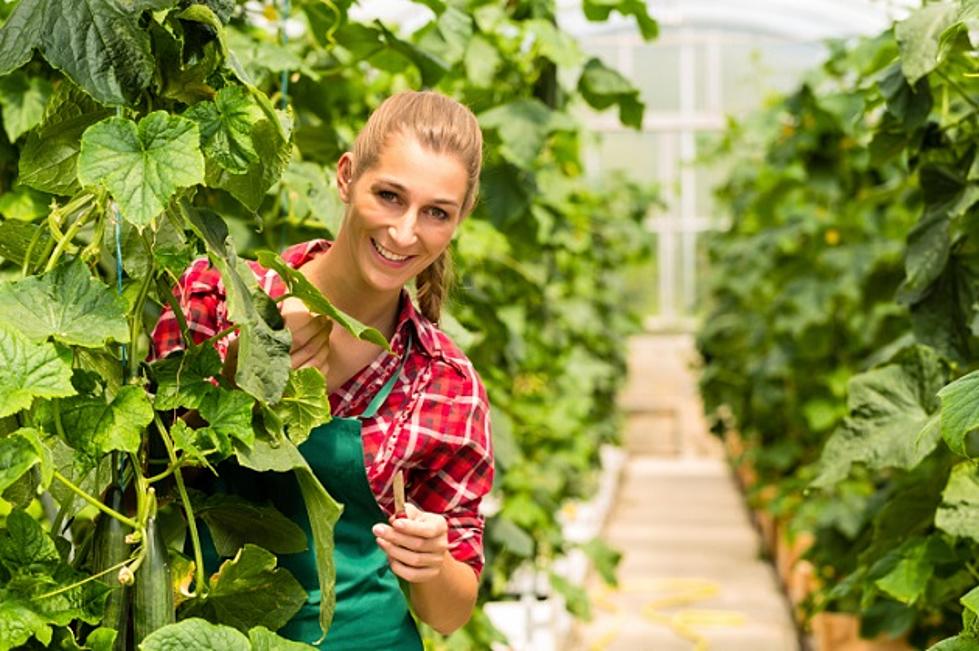 Daviess County High Greenhouse Opens April 27th