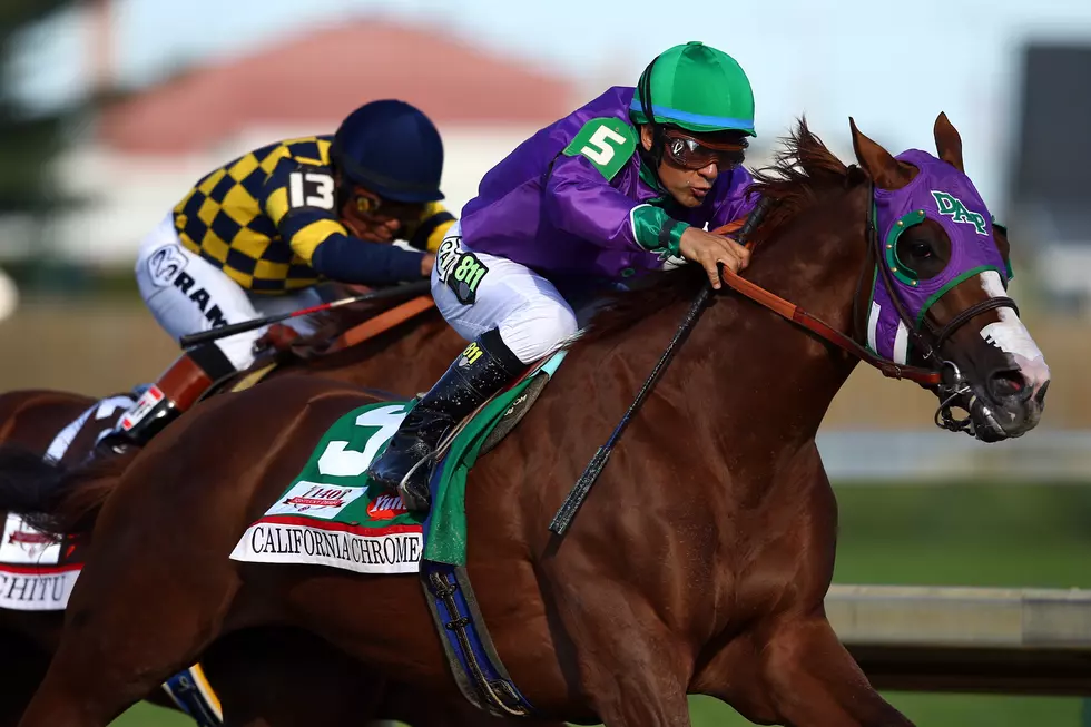 What&#8217;s Your Kentucky Derby Horse Name? 2015 Edition