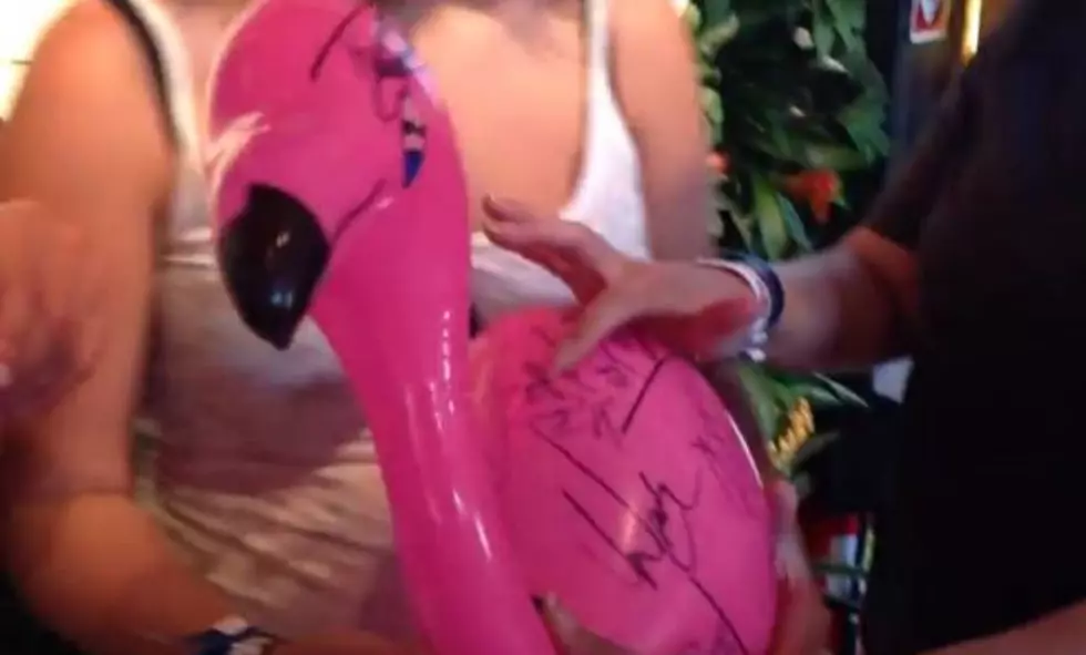 Floyd the Flamingo: Stars Autograph Inflatable Bird at CMA Music Fest [Video]