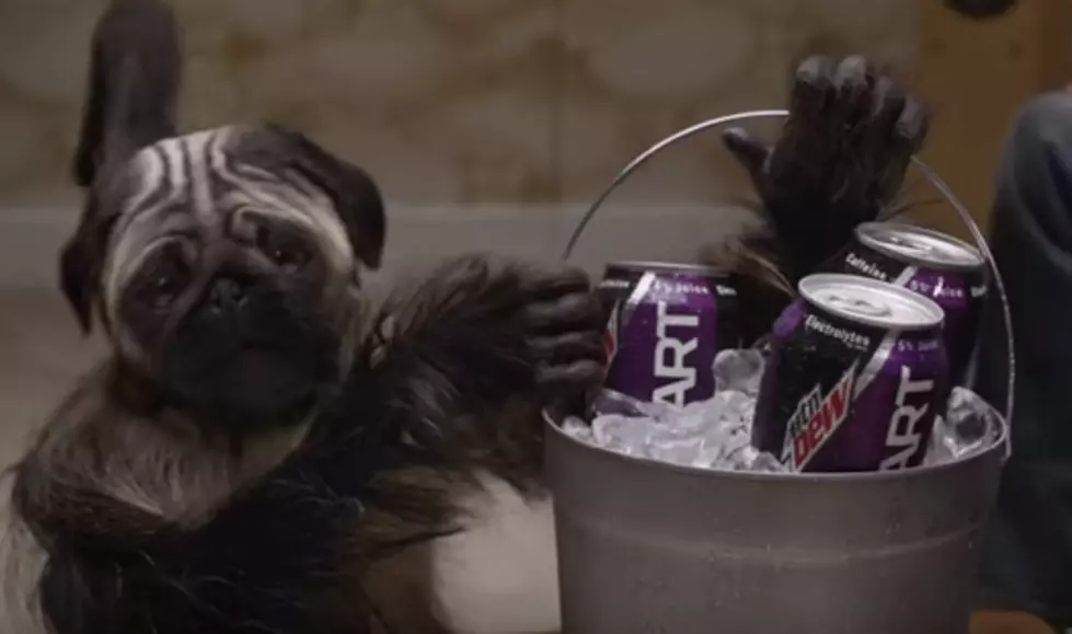 Meet &#8216;PuppyMonkeyBaby&#8217; And Try Not To Have A Nightmare [VIDEO]