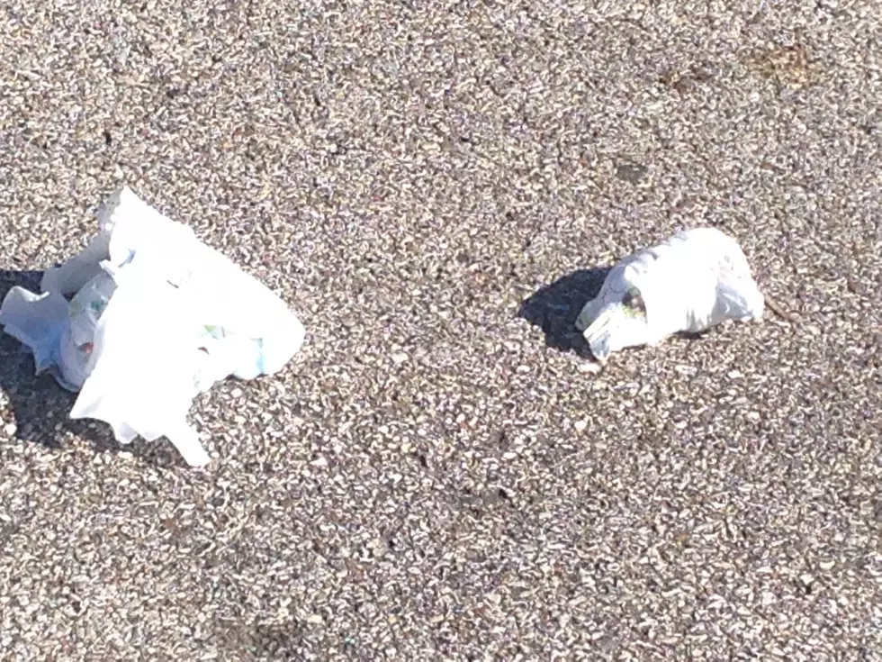 Why Do People Dump Dirty Diapers in Parking Lots?