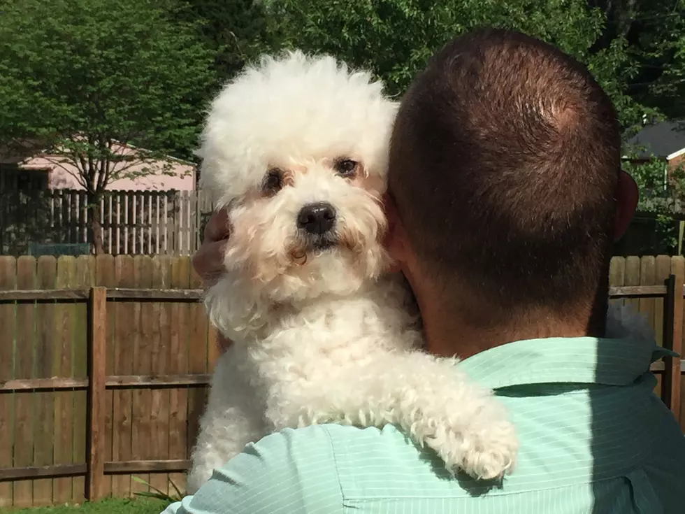 Do You Hug Your Dog? New Study Suggests They Don&#8217;t Like It [Video]